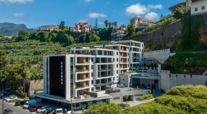 Appartement T6 à Funchal (São Pedro) de 369 m²