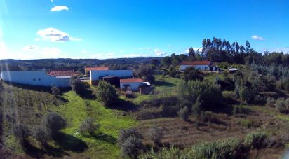 Terreno em São João da Ribeira e Ribeira de São João de 29 080 m²