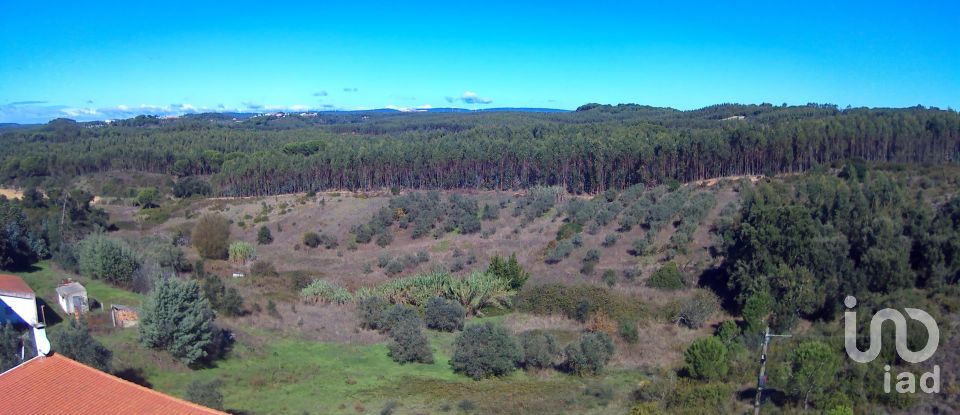 Terreno em São João da Ribeira e Ribeira de São João de 29 080 m²