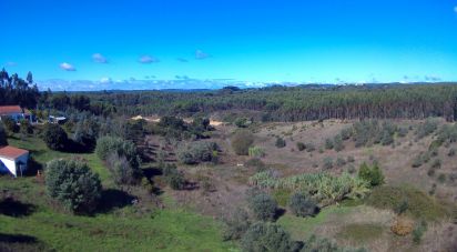 Terreno em São João da Ribeira e Ribeira de São João de 29 080 m²