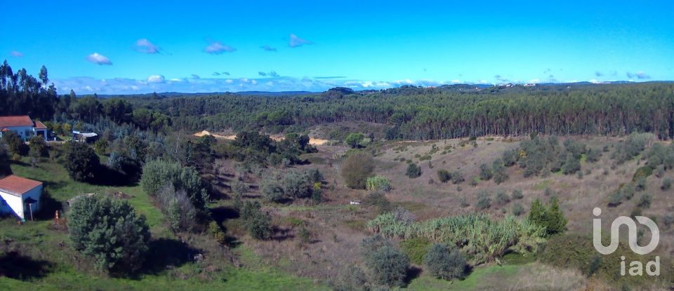 Terreno em São João da Ribeira e Ribeira de São João de 29 080 m²