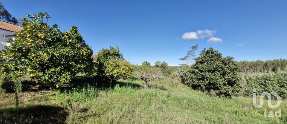 Terreno em São João da Ribeira e Ribeira de São João de 29 080 m²