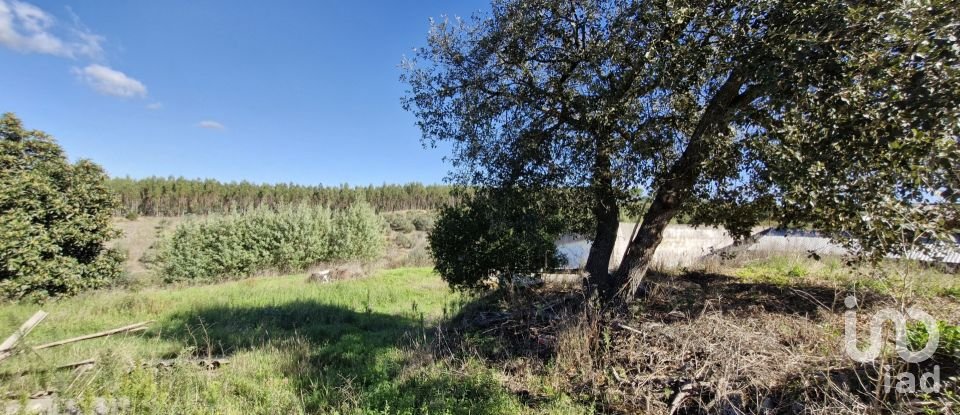 Terreno em São João da Ribeira e Ribeira de São João de 29 080 m²