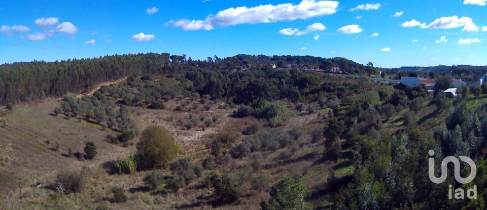 Terreno em São João da Ribeira e Ribeira de São João de 29 080 m²