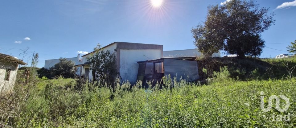 Terreno em São João da Ribeira e Ribeira de São João de 29 080 m²