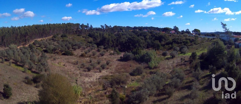 Terreno em São João da Ribeira e Ribeira de São João de 29 080 m²