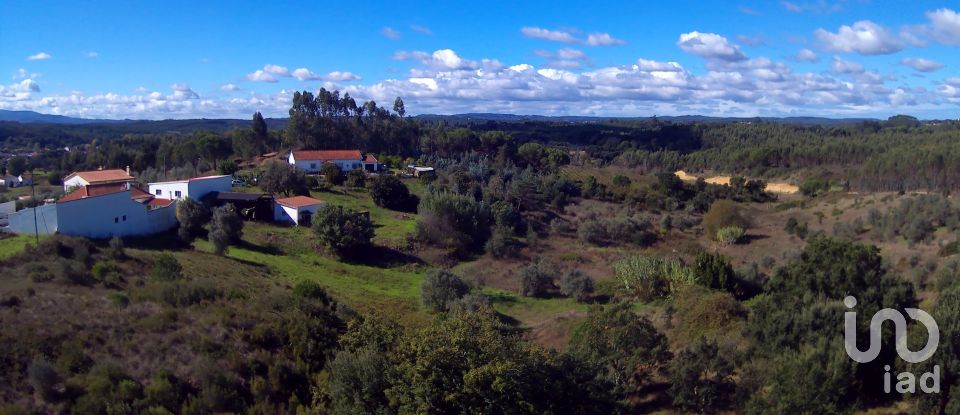 Terreno em São João da Ribeira e Ribeira de São João de 29 080 m²