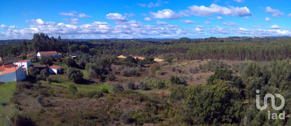 Terreno em São João da Ribeira e Ribeira de São João de 29 080 m²