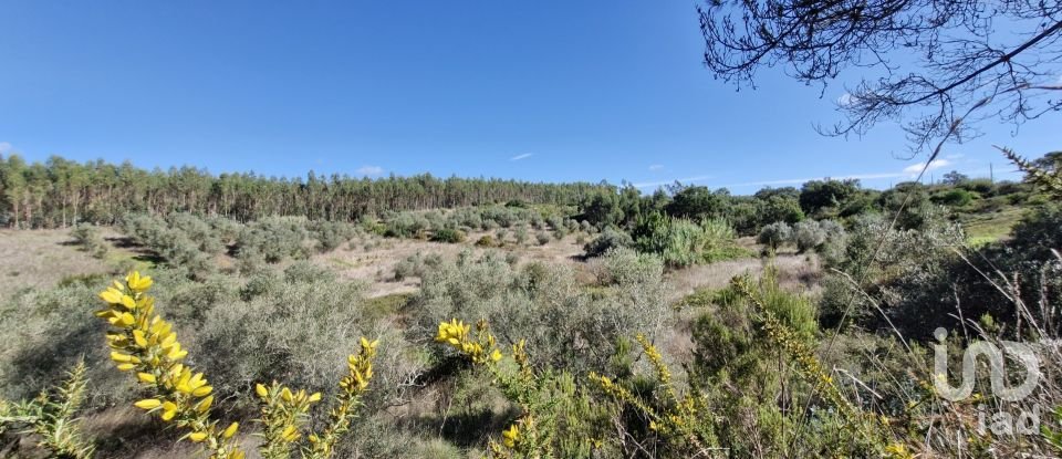 Terreno em São João da Ribeira e Ribeira de São João de 29 080 m²