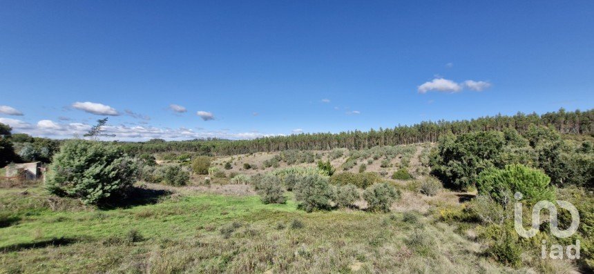 Terreno em São João da Ribeira e Ribeira de São João de 29 080 m²