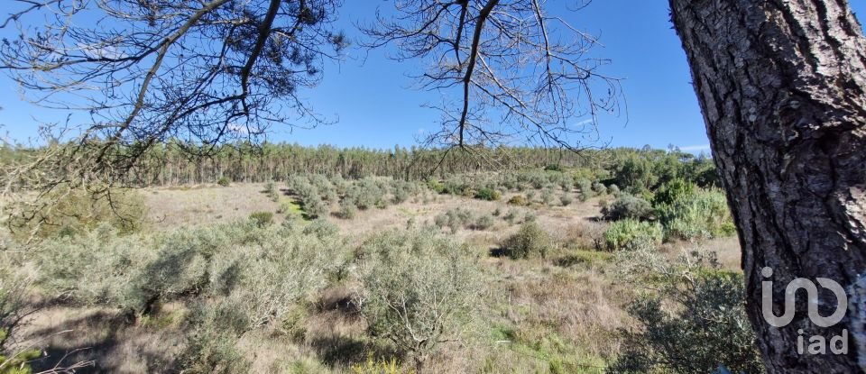 Terreno em São João da Ribeira e Ribeira de São João de 29 080 m²