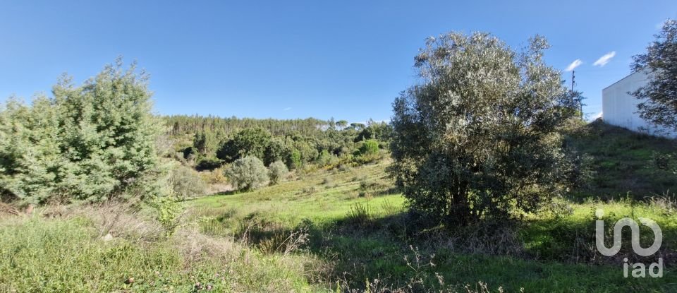 Terreno em São João da Ribeira e Ribeira de São João de 29 080 m²