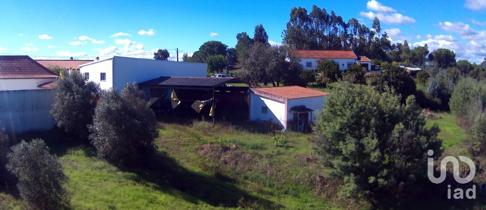 Terreno em São João da Ribeira e Ribeira de São João de 29 080 m²