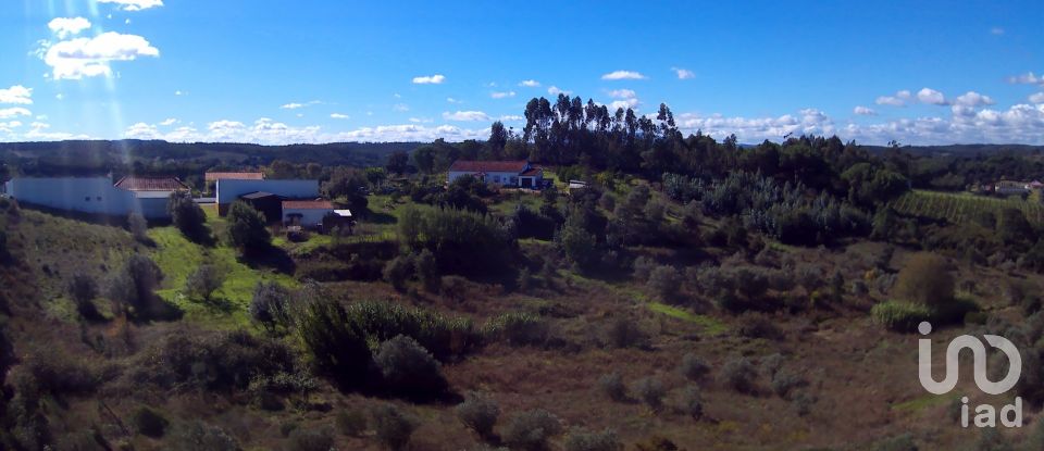 Terreno em São João da Ribeira e Ribeira de São João de 29 080 m²