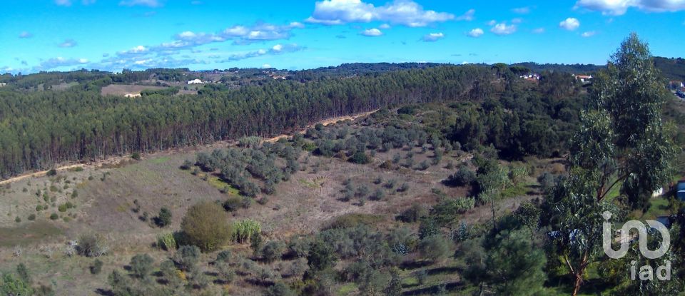 Terreno em São João da Ribeira e Ribeira de São João de 29 080 m²