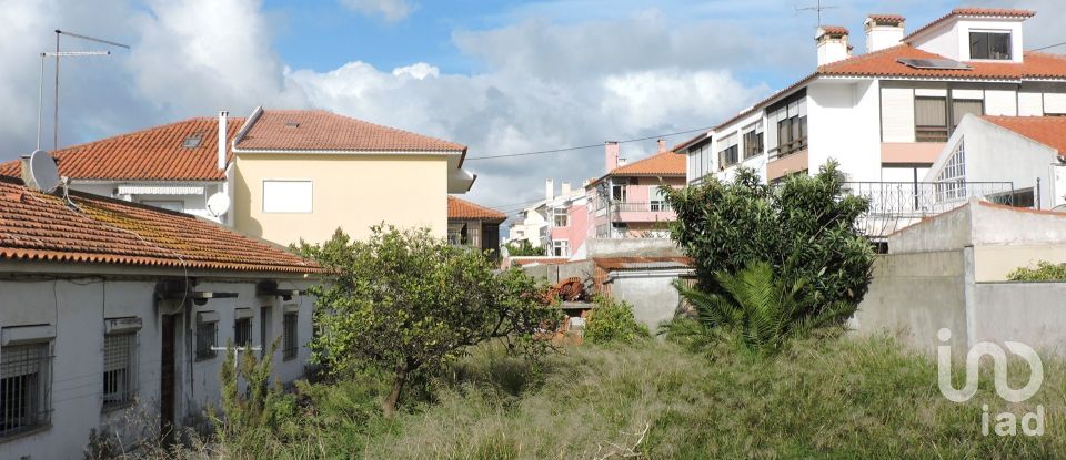 Terreno para construção em Carcavelos e Parede de 704 m²