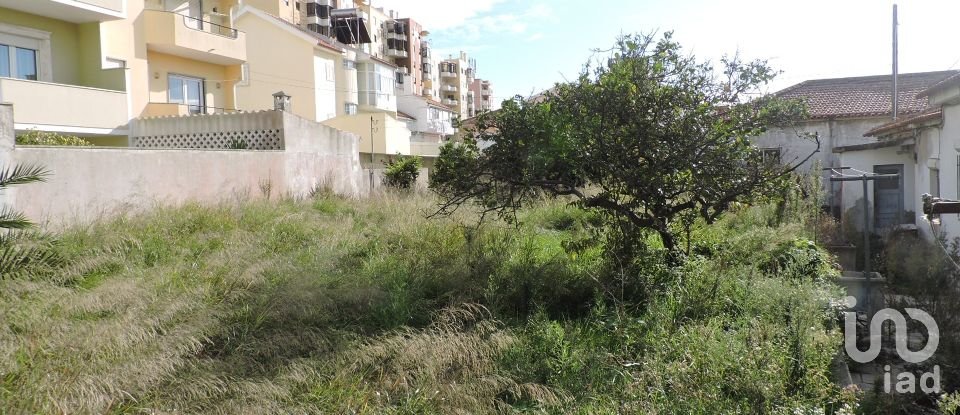 Terreno para construção em Carcavelos e Parede de 704 m²