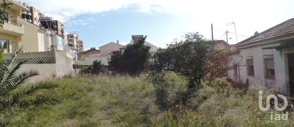 Terreno para construção em Carcavelos e Parede de 704 m²