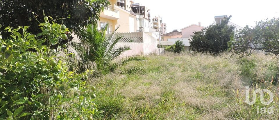 Terreno para construção em Carcavelos e Parede de 704 m²