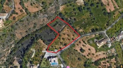 Land in Boliqueime of 5,000 m²