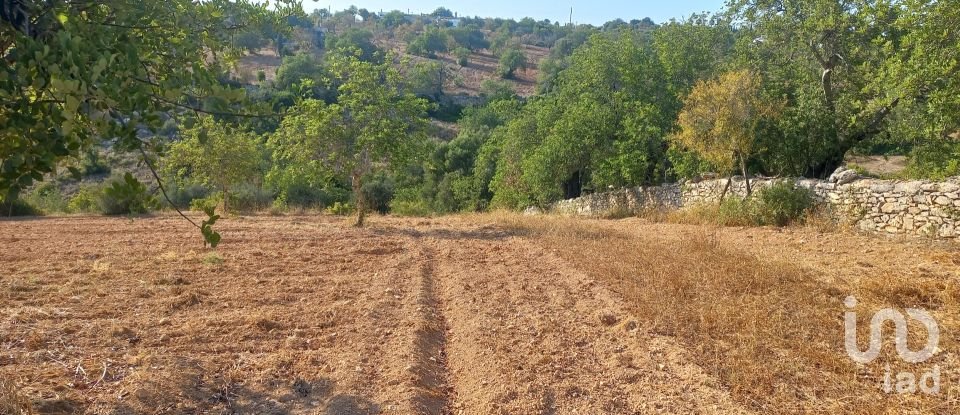 Terrain à Boliqueime de 5 000 m²