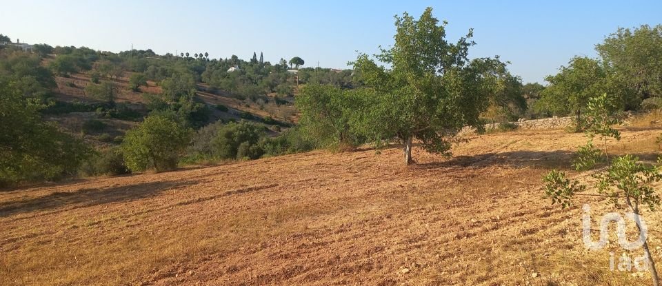 Terrain à Boliqueime de 5 000 m²