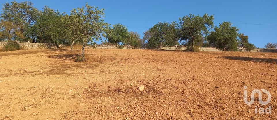 Terrain à Boliqueime de 5 000 m²