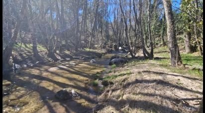 Terreno em Penso e Freixinho de 13 680 m²