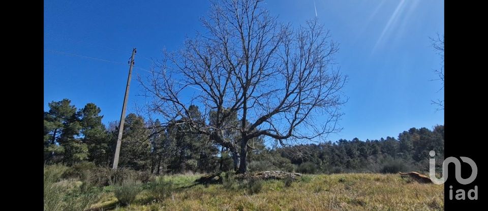 Terreno em Penso e Freixinho de 13 680 m²