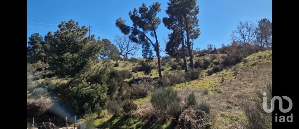 Terreno em Penso e Freixinho de 13 680 m²