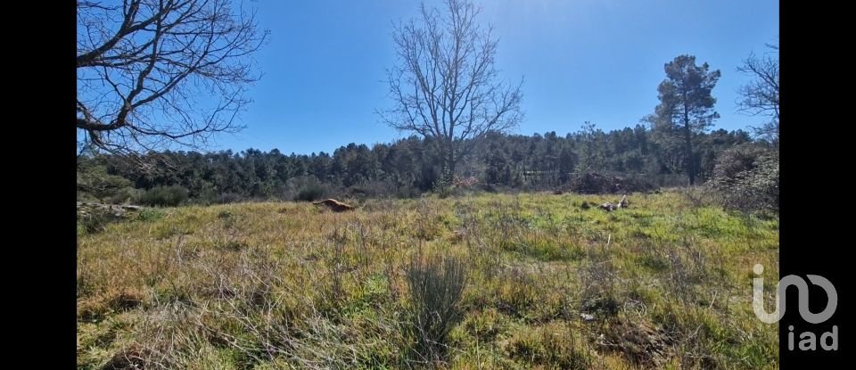 Terreno em Penso e Freixinho de 13 680 m²