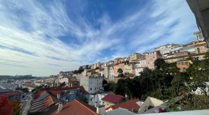 Loja / Estabelecimento Comercial em Coimbra (Sé Nova, Santa Cruz, Almedina e São Bartolomeu) de 53 m²