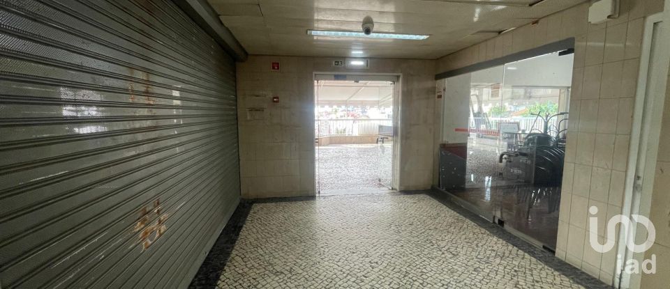 Loja / Estabelecimento Comercial em Coimbra (Sé Nova, Santa Cruz, Almedina e São Bartolomeu) de 53 m²