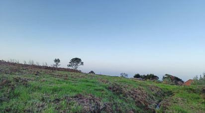 Terreno para construção em Ponta do Pargo de 1 714 m²