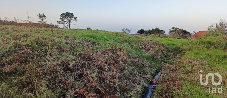 Terreno para construção em Ponta do Pargo de 1 714 m²