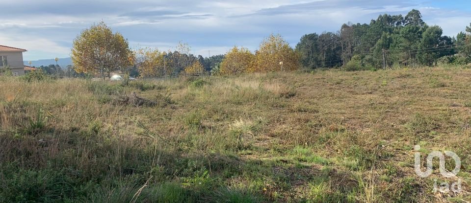 Terrain à Mujães de 649 m²