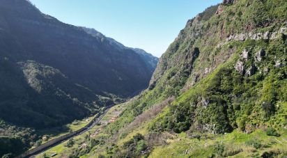 Terreno em Serra de Água de 950 m²