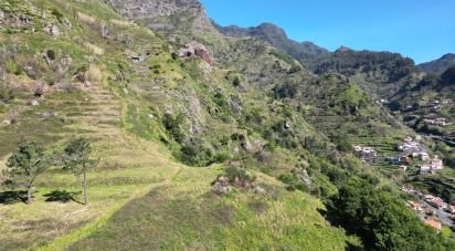 Terreno em Serra de Água de 400 m²