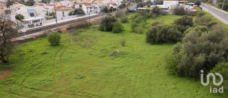 Terreno para construção em Tavira (Santa Maria e Santiago) de 6 000 m²