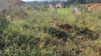 Terreno em Mujães de 711 m²