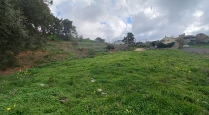 Terreno em Mafra de 3 220 m²