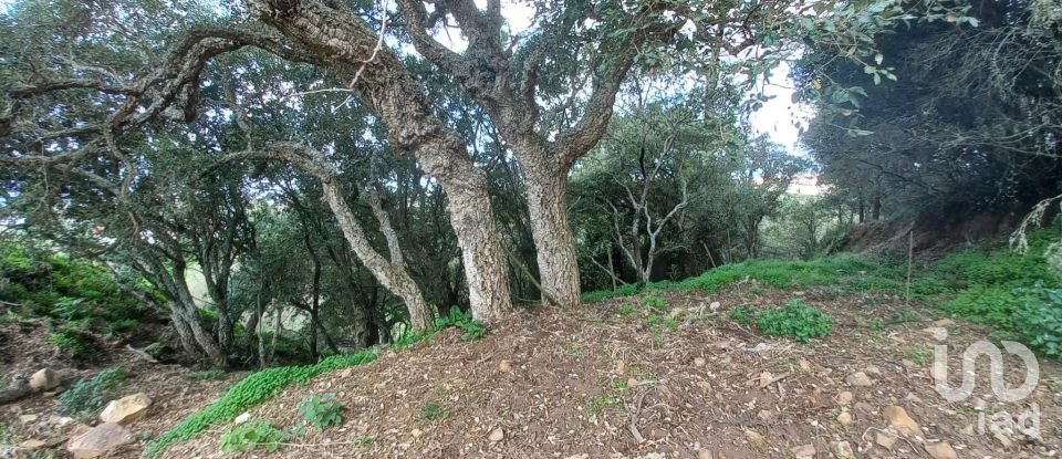 Terreno em Mafra de 3 220 m²