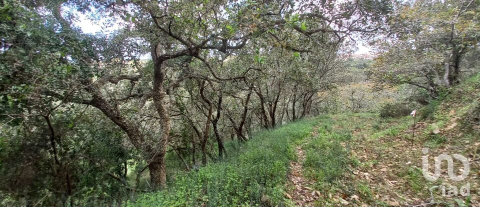 Terreno em Mafra de 3 220 m²