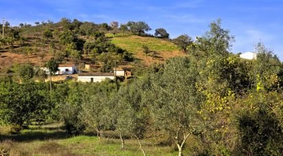 Maison T3 à São Bartolomeu de Messines de 518 m²