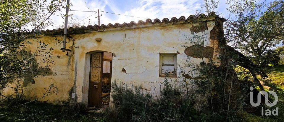 Maison T3 à São Bartolomeu de Messines de 518 m²