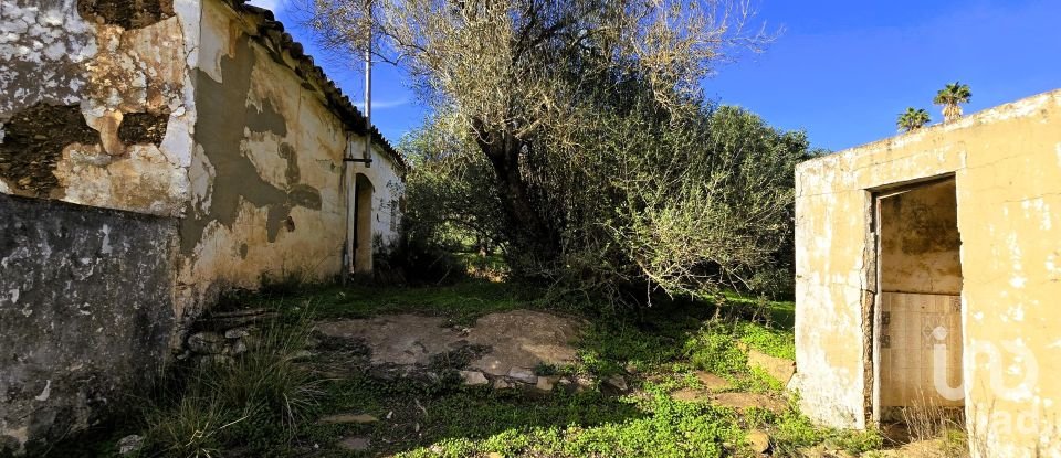 Maison T3 à São Bartolomeu de Messines de 518 m²