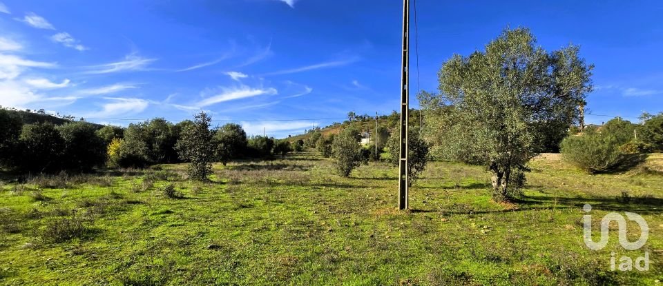 Maison T3 à São Bartolomeu de Messines de 518 m²