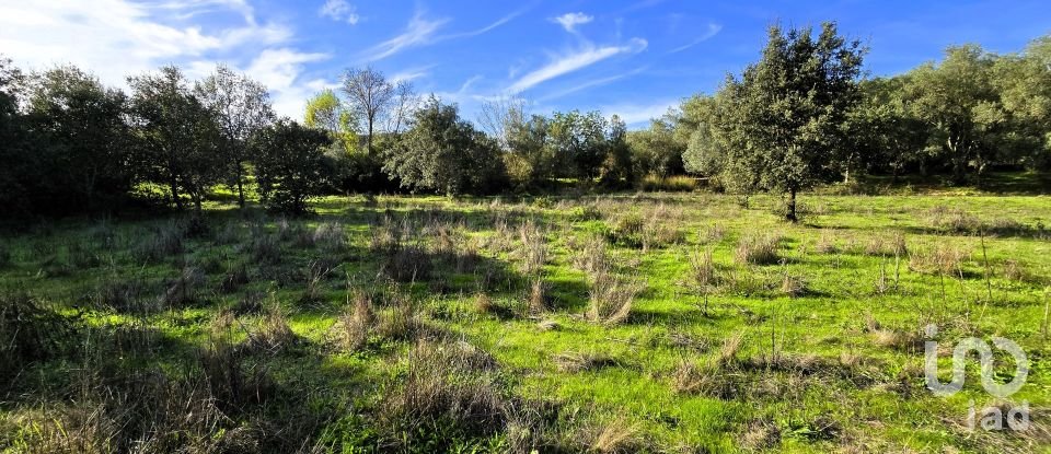 Maison T3 à São Bartolomeu de Messines de 518 m²