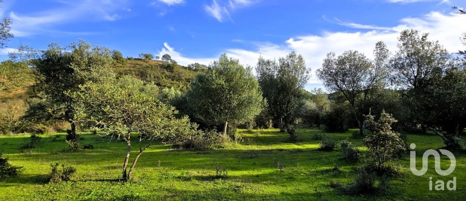 Maison T3 à São Bartolomeu de Messines de 518 m²