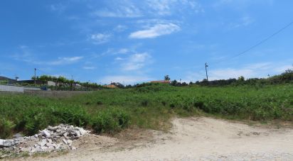 Terreno em Bustelo de 2 600 m²